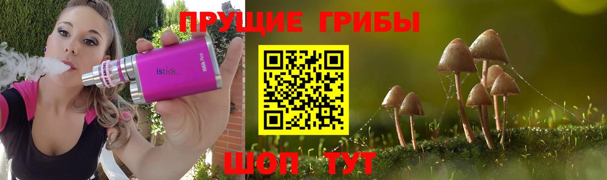 Галлюциногенные грибы Psilocybine cubensis Уварово